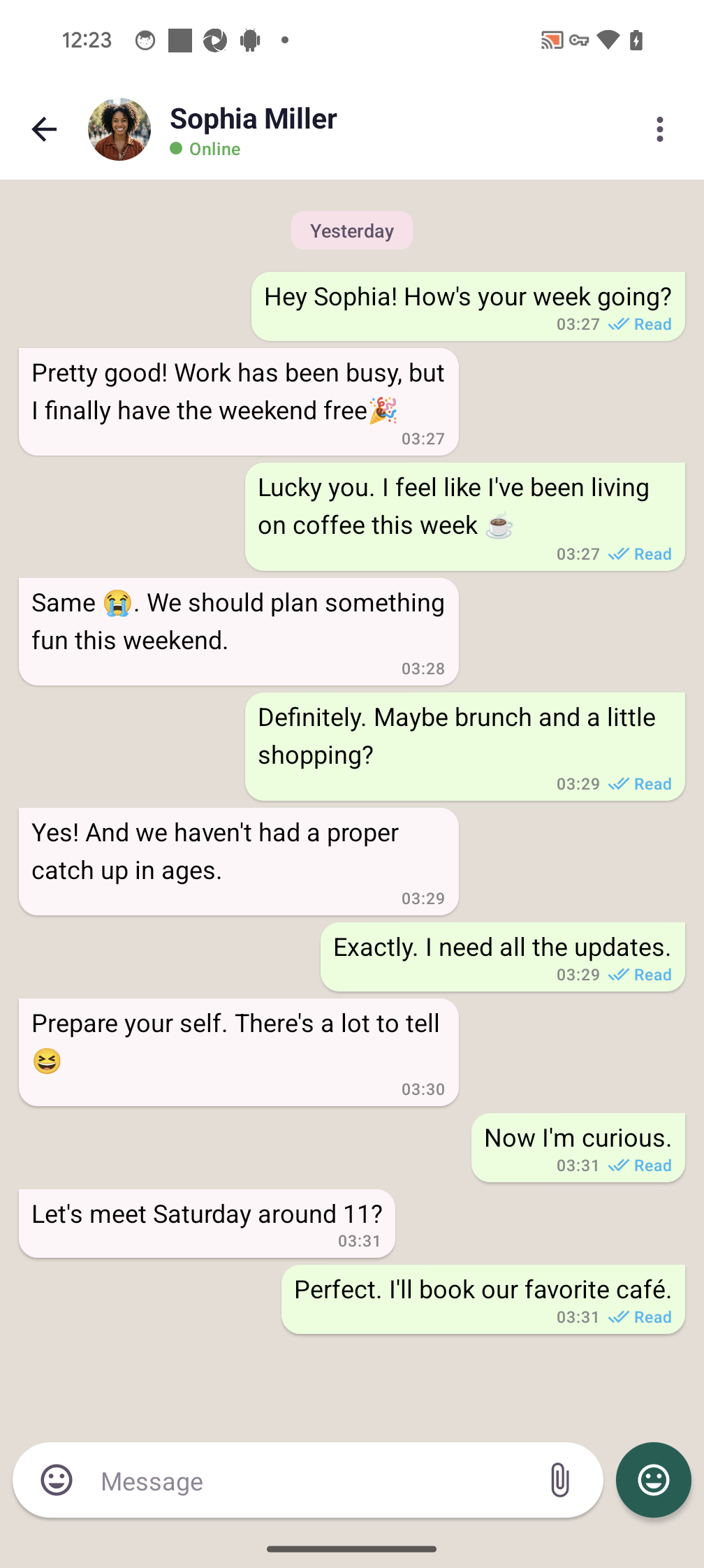 NearMate Chat screen